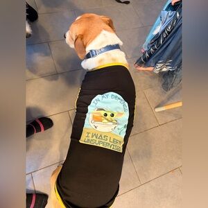 NWT Star Wars x Chewy Grogu dog shirt